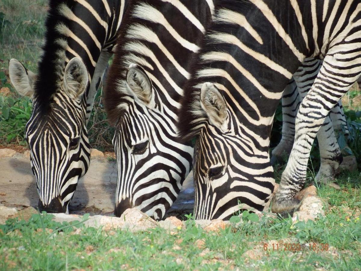 Ku Sungula Safari Lodge Balule Game Reserve Exterior foto