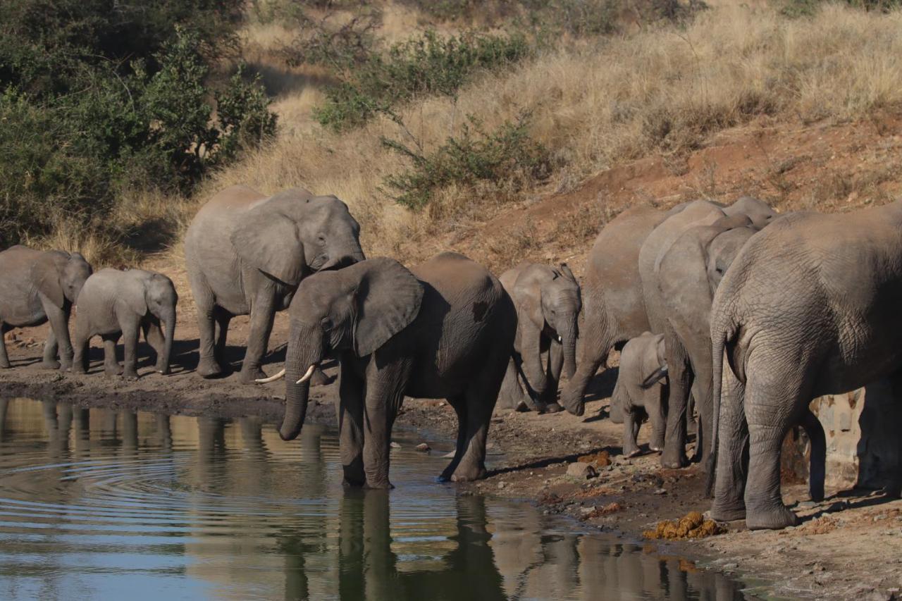 Ku Sungula Safari Lodge Balule Game Reserve Exterior foto