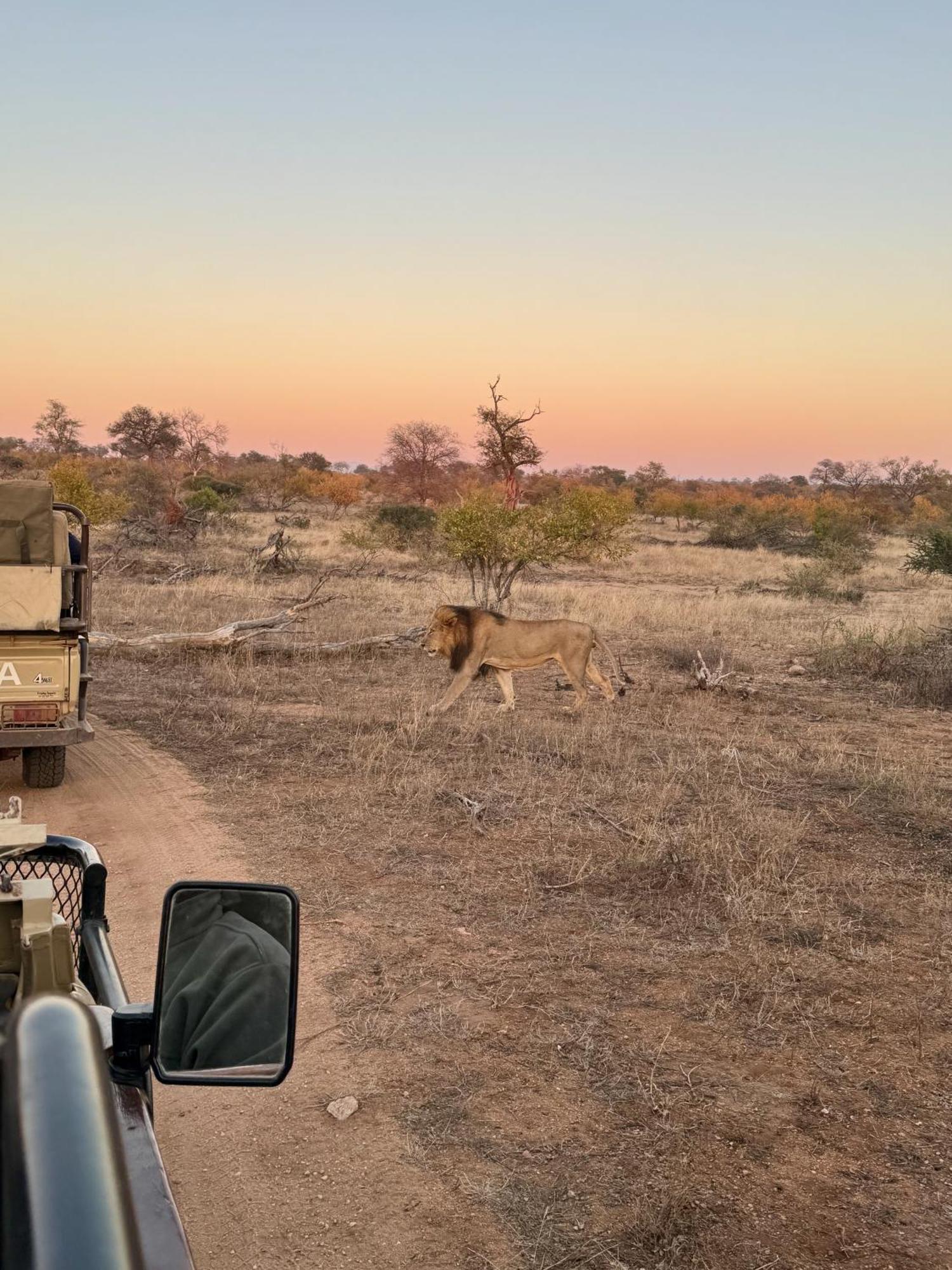 Ku Sungula Safari Lodge Balule Game Reserve Exterior foto