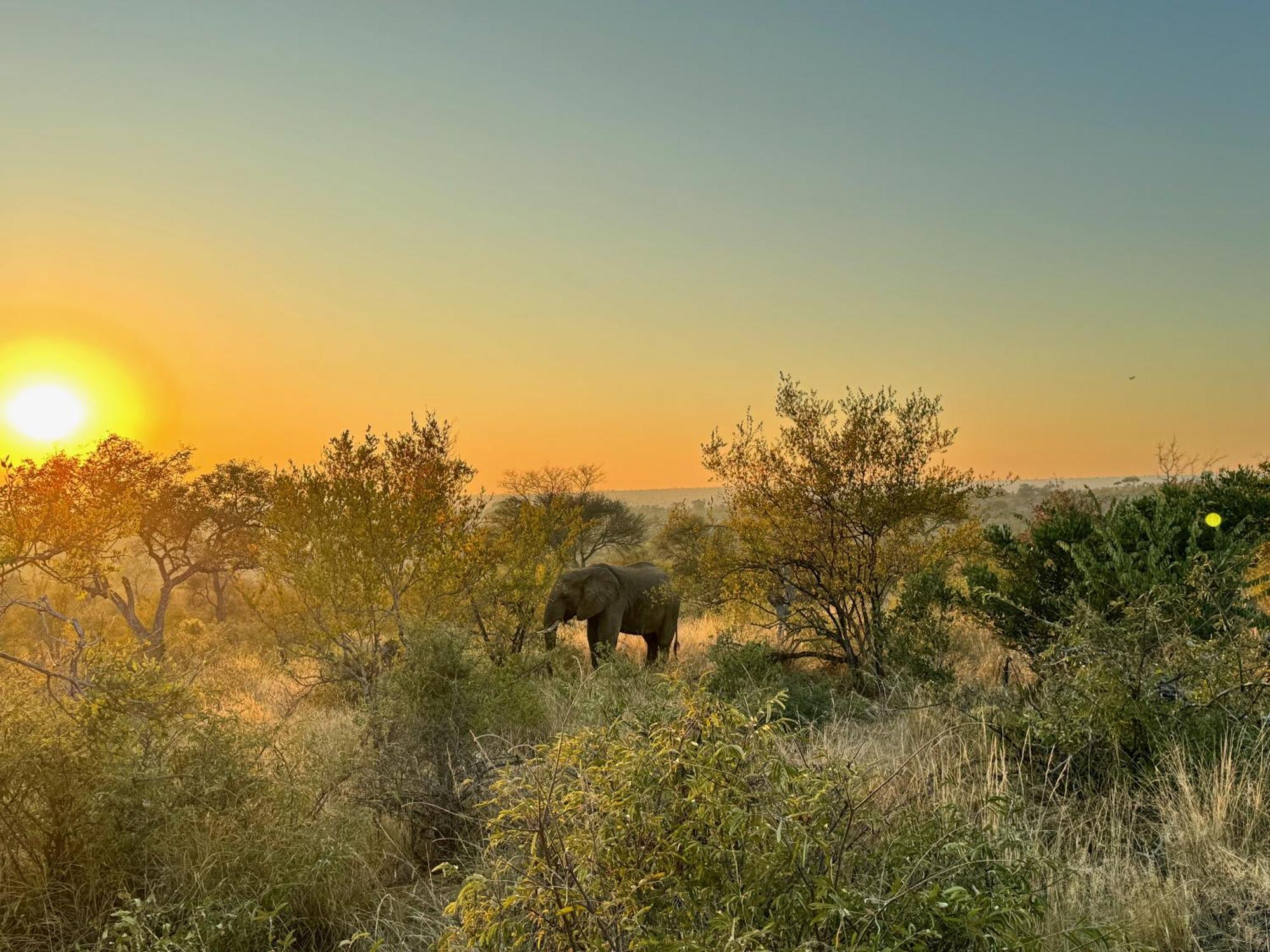 Ku Sungula Safari Lodge Balule Game Reserve Exterior foto