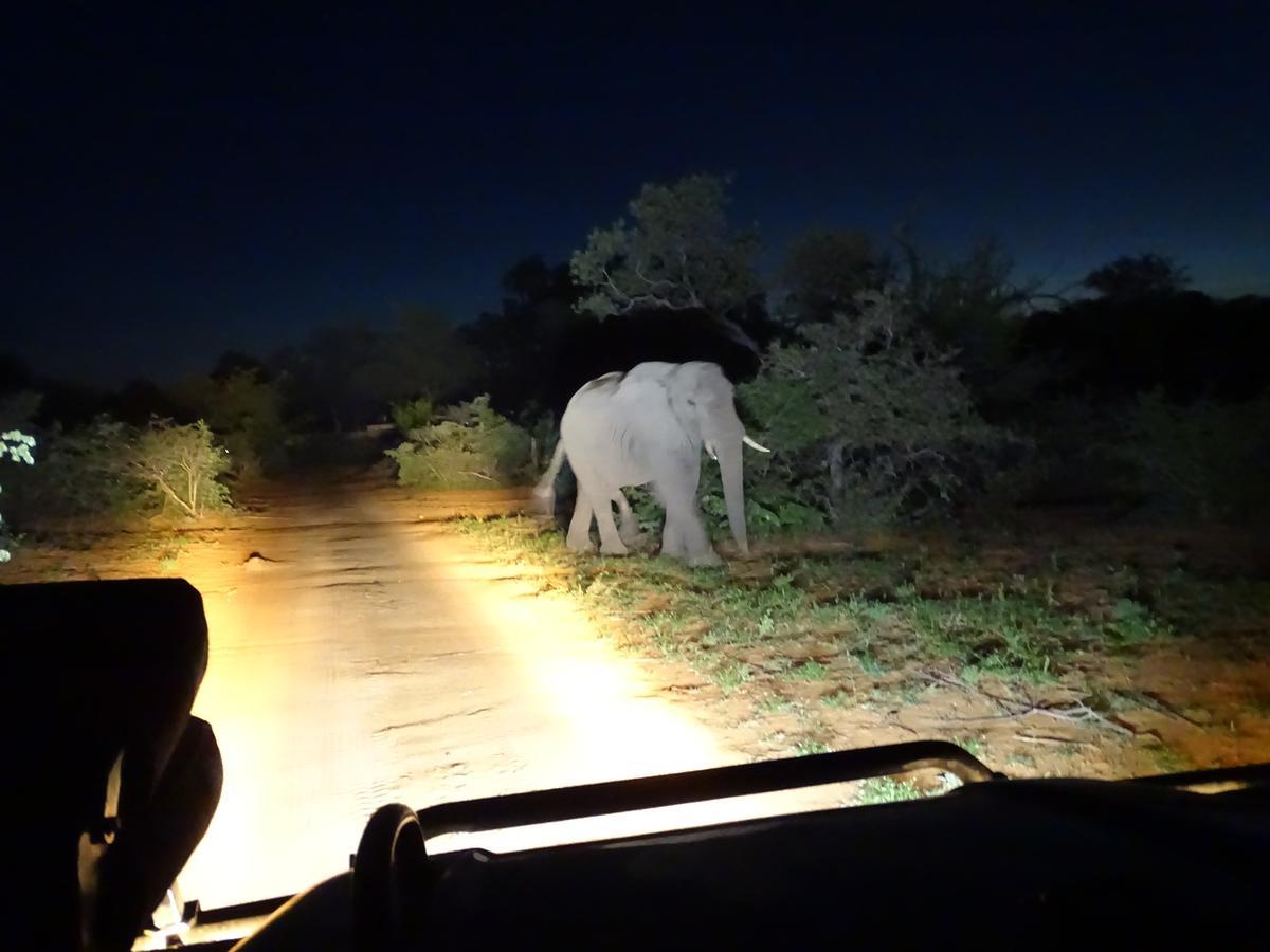 Ku Sungula Safari Lodge Balule Game Reserve Exterior foto